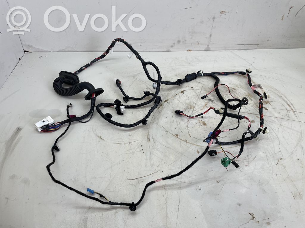 Cableado de puerta delantera   206796300A