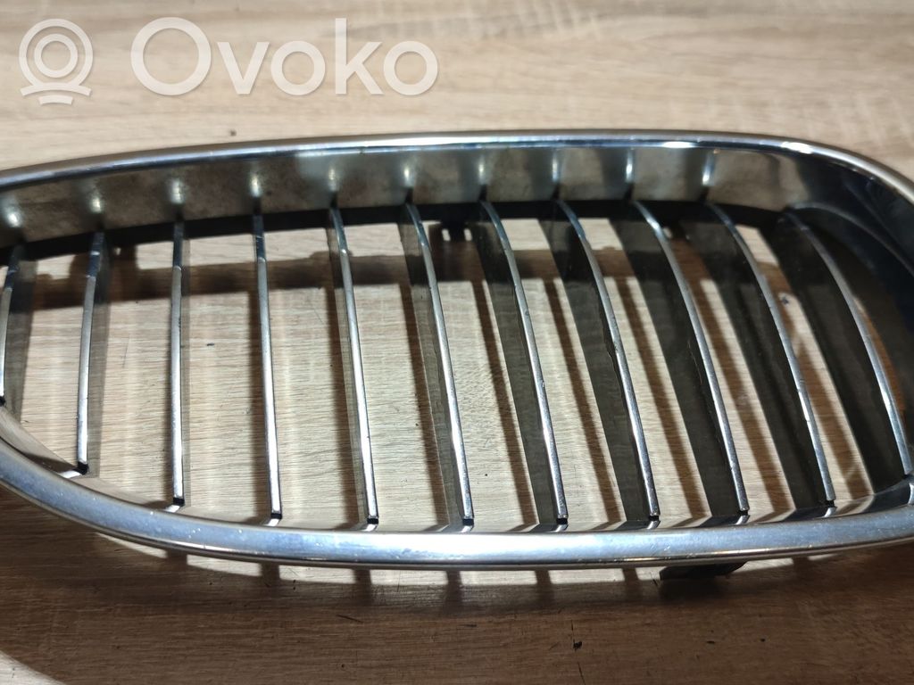 Oberes Gitter vorne   10627110