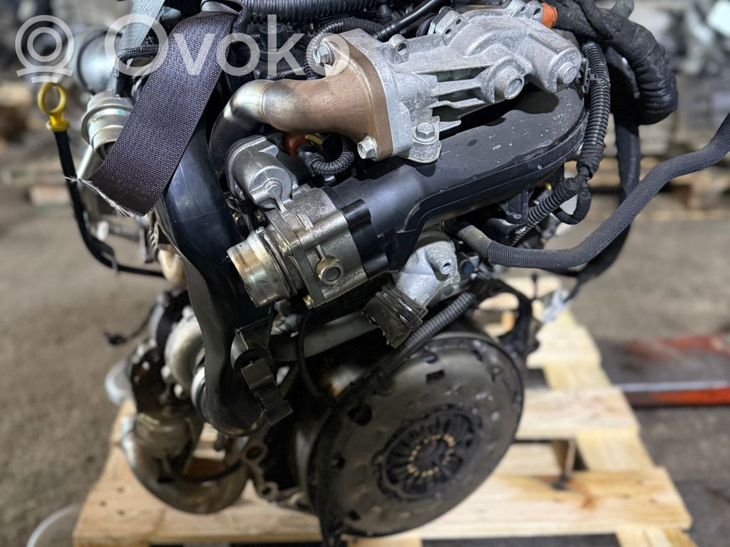 Motor   A17DTS
