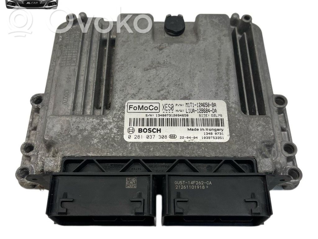 Ford Focus Engine control unit/module 