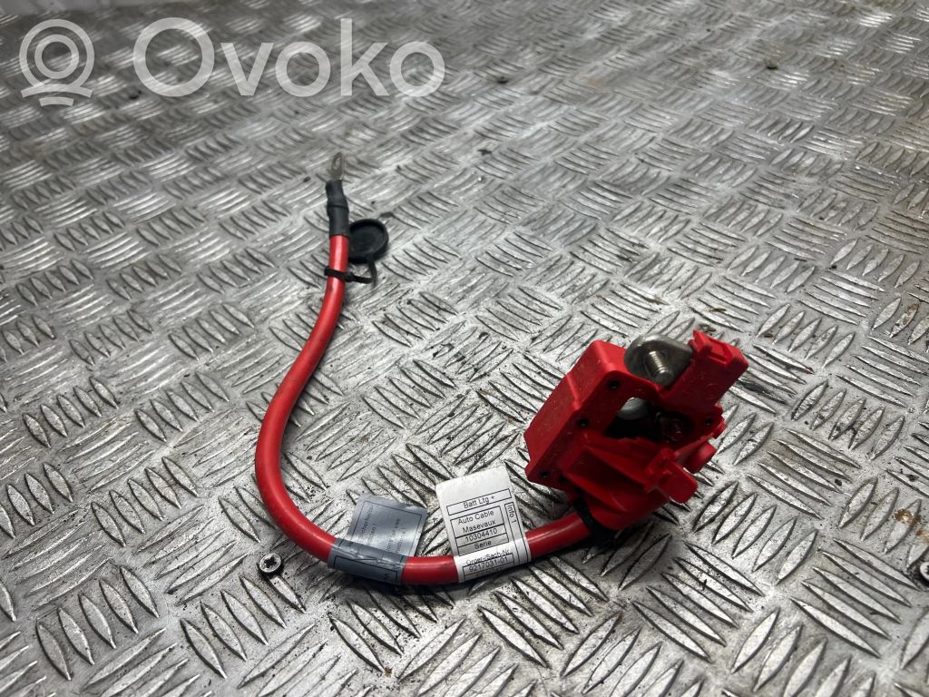 Positive cable (battery)   9217031,EEN74Y,10304410