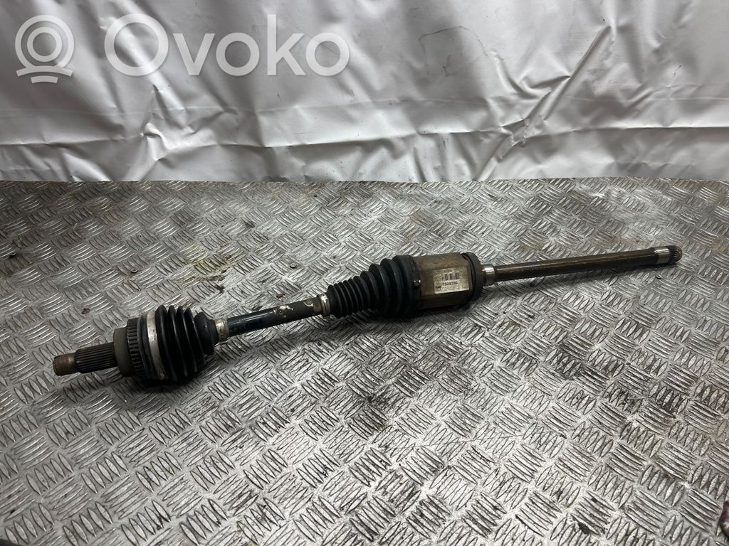 Priekšējā pusass   7529390