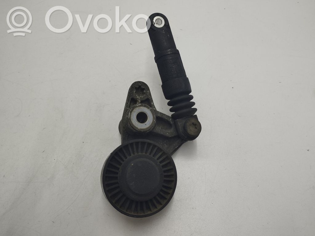 Generatoriaus diržo įtempėjas   059145201