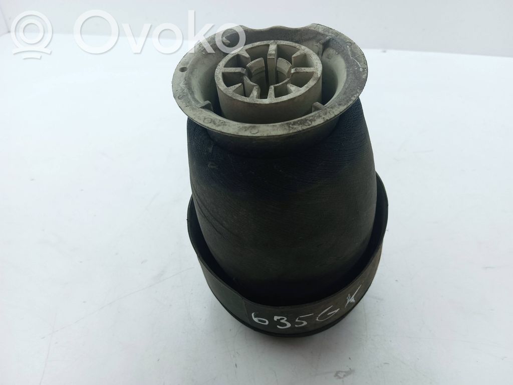 BMW 5 E60 E61 Aizmugurē gaisa spilvens 