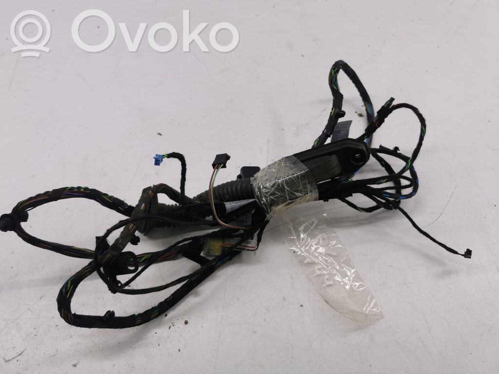 BMW X5 E70 Cableado de puerta trasera 