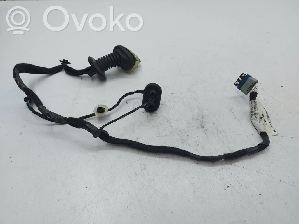 Cableado de puerta trasera   9677609380