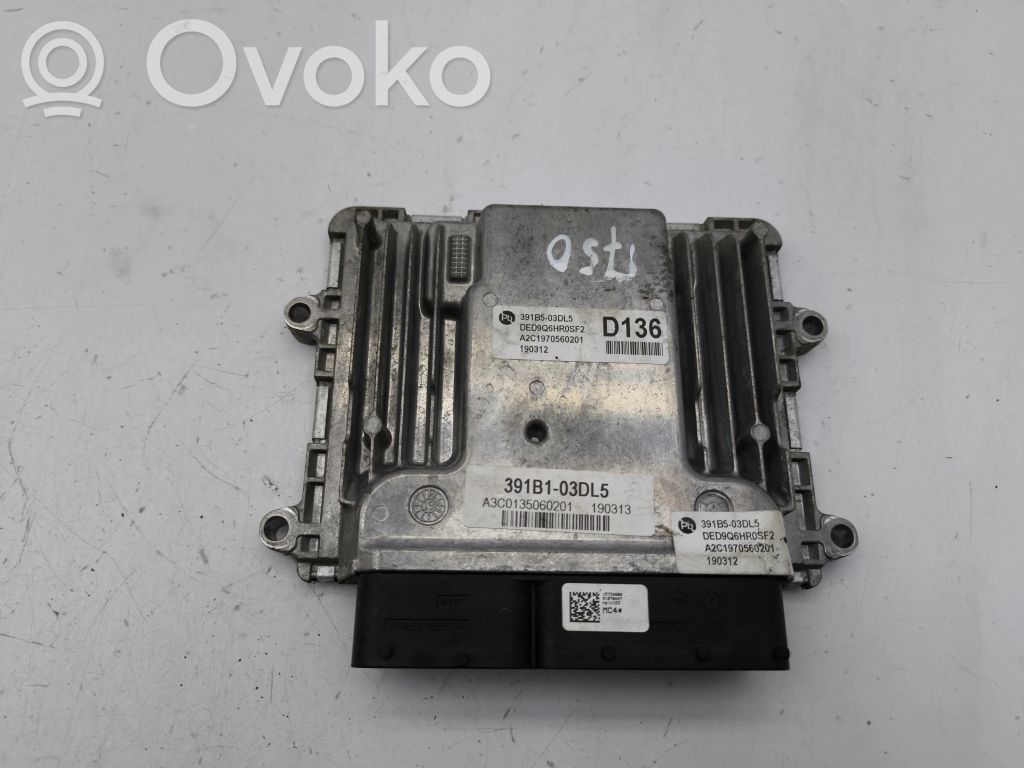 Engine control unit/module   391B103DL5,A2C1970560201