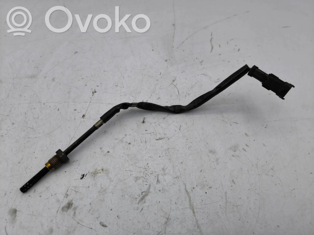 Opel Antara Išmetamųjų dujų temperatūros daviklis 