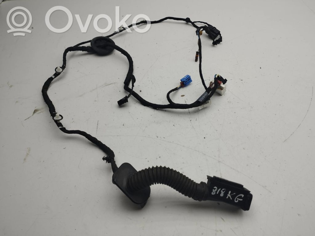 Audi A5 Cableado de puerta trasera 