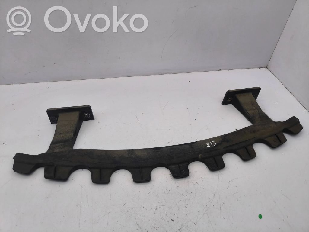 Tesla Model S Balkis priekinio bamperio 