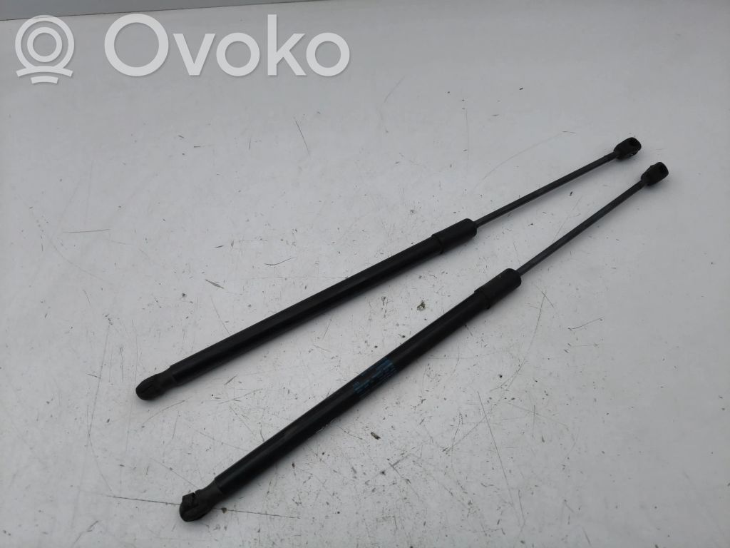 Volkswagen T-Roc Tailgate/trunk strut/damper 