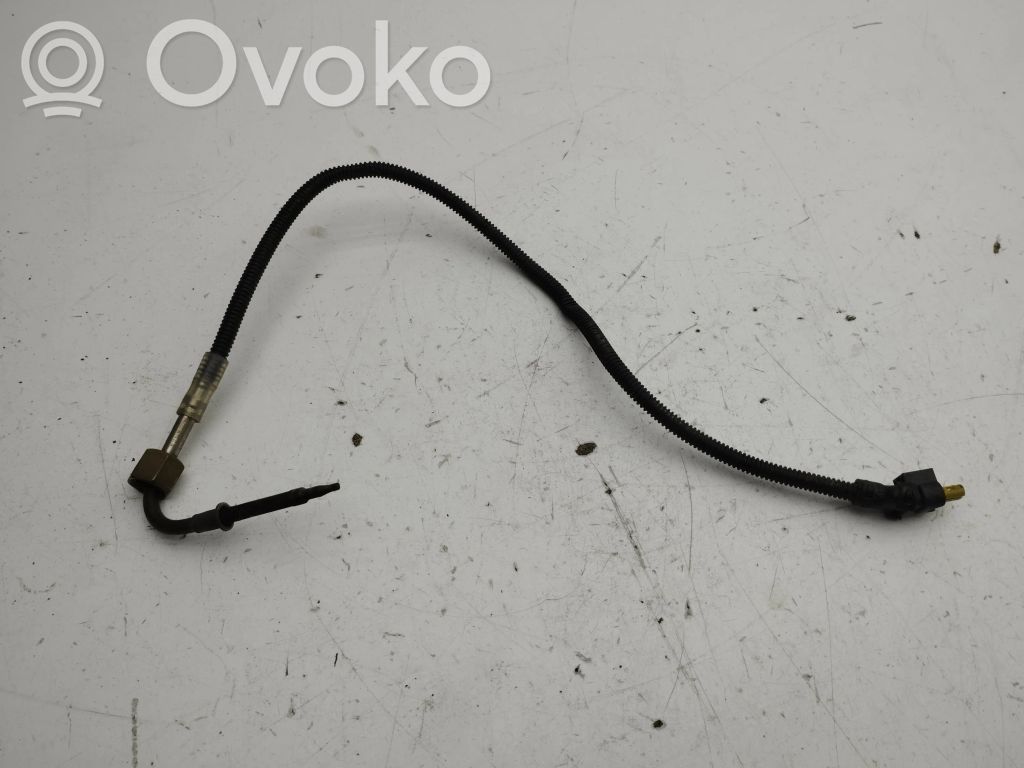 Abgastemperatursensor   A0009059604