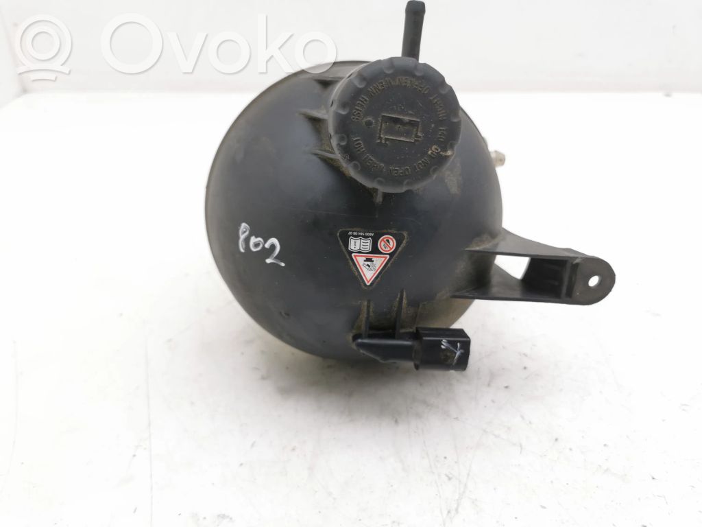 Mercedes-Benz A W169 Vas expansiune/rezervor lichid de răcire