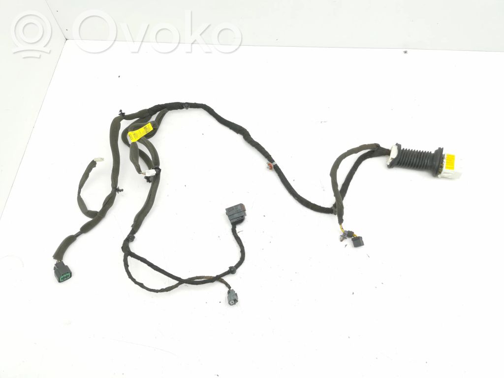 Opel Antara Cableado de puerta delantera 