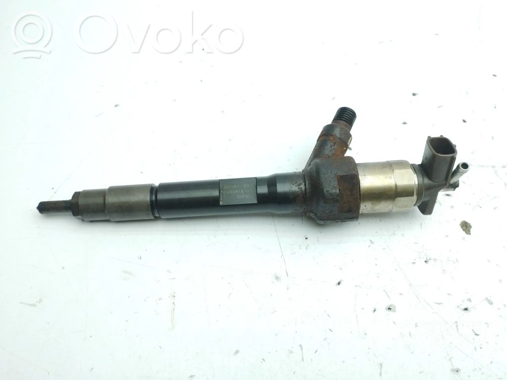 Injector combustibil   R2AA13H50,001101N08973