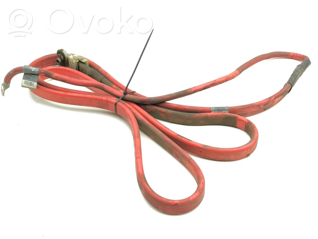 Positive cable (battery)   6927704,5145104,02456677,EE923T