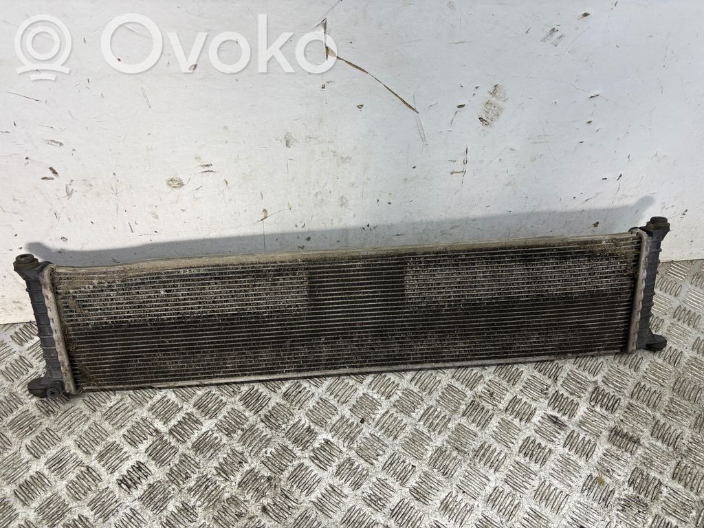 Tesla Model S Coolant radiator 