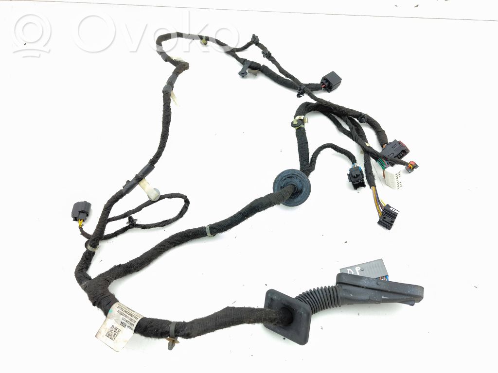 Cableado de puerta delantera   688328731,XD1322913H170016,8006019800000X,95386094
