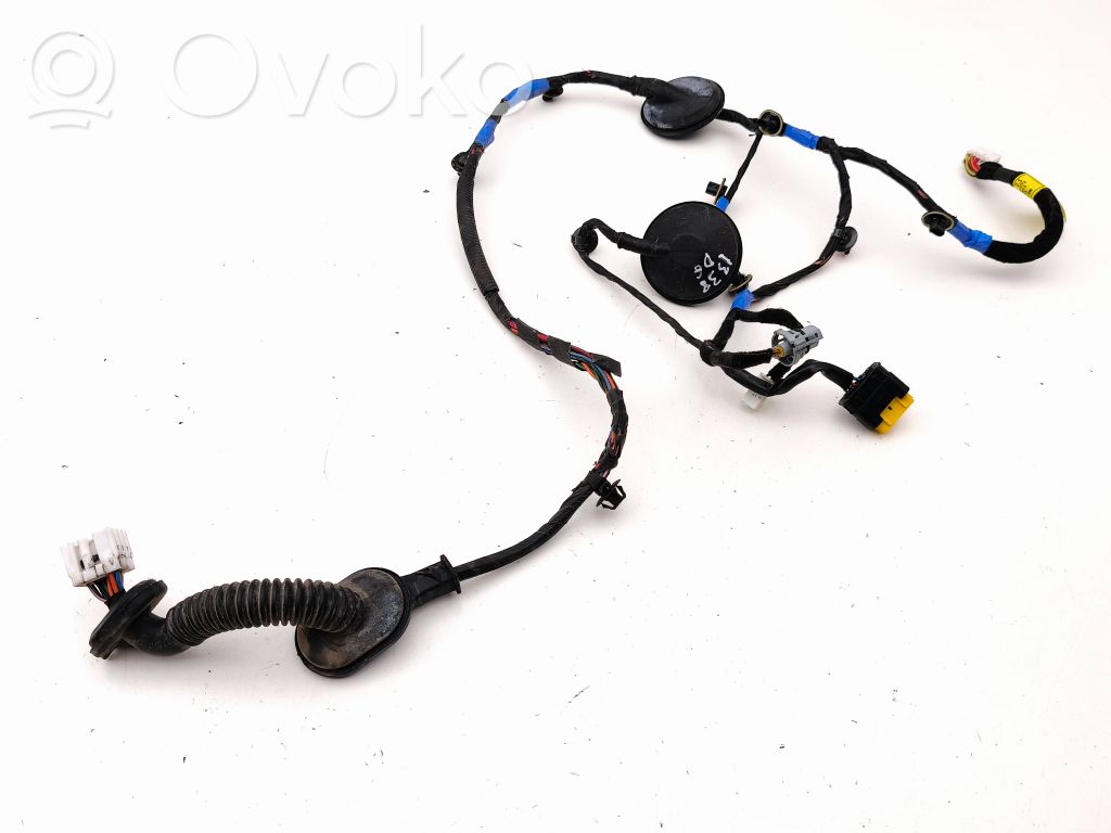 Hyundai Santa Fe Cableado de puerta trasera 