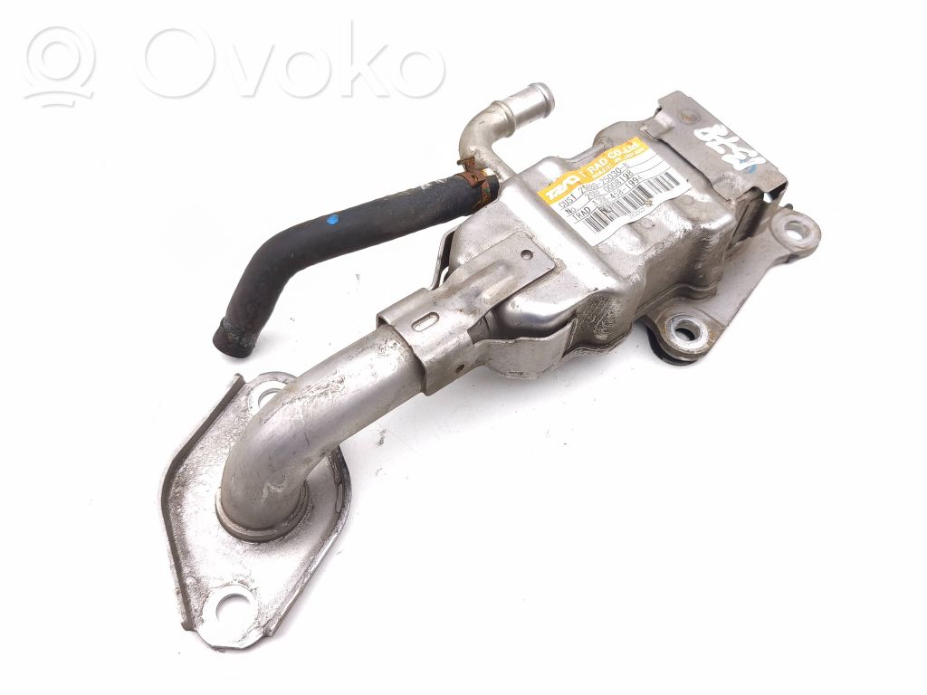 Toyota RAV 4 (XA50) Valvola di raffreddamento EGR 