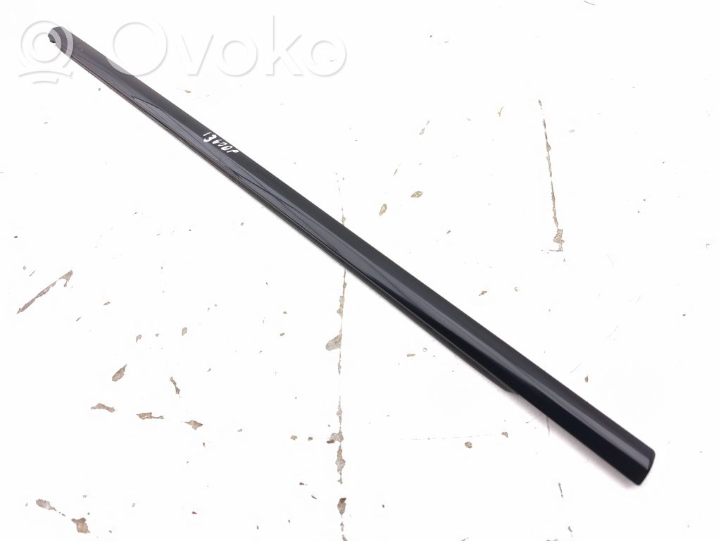 Land Rover Range Rover Evoque L538 Listwa / Uszczelka szyby drzwi przednich 