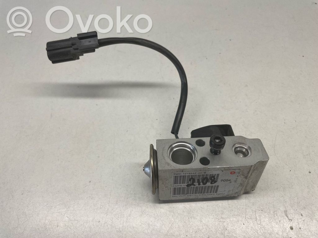 Tesla Model S Air conditioning (A/C) expansion valve 