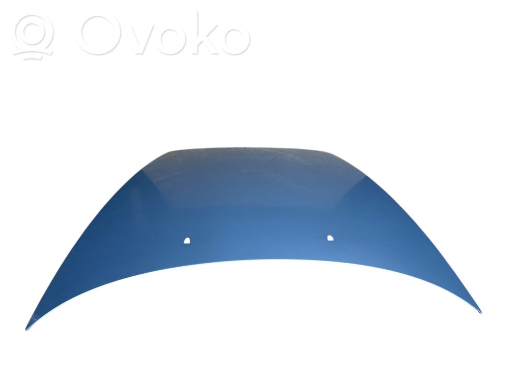 Dzinēja pārsegs (vāks)   30640183,030122,030123