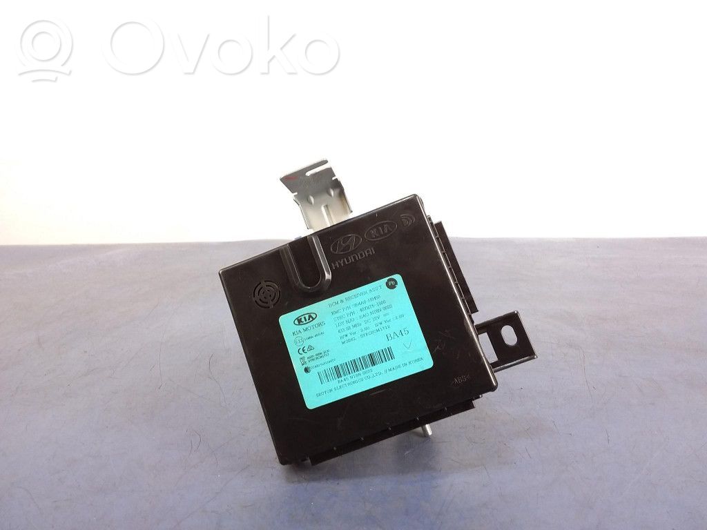 KIA Rio Other control units/modules 