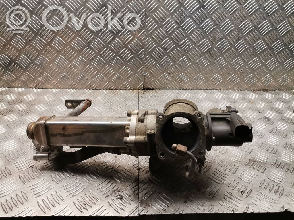 Volvo C30 Válvula EGR 