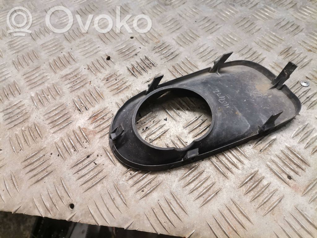 BMW X5 E53 Etupuskurin alempi jäähdytinsäleikkö 