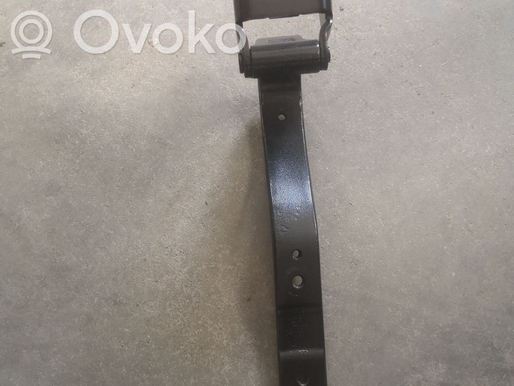 Tailgate/trunk/boot hinge   7296774