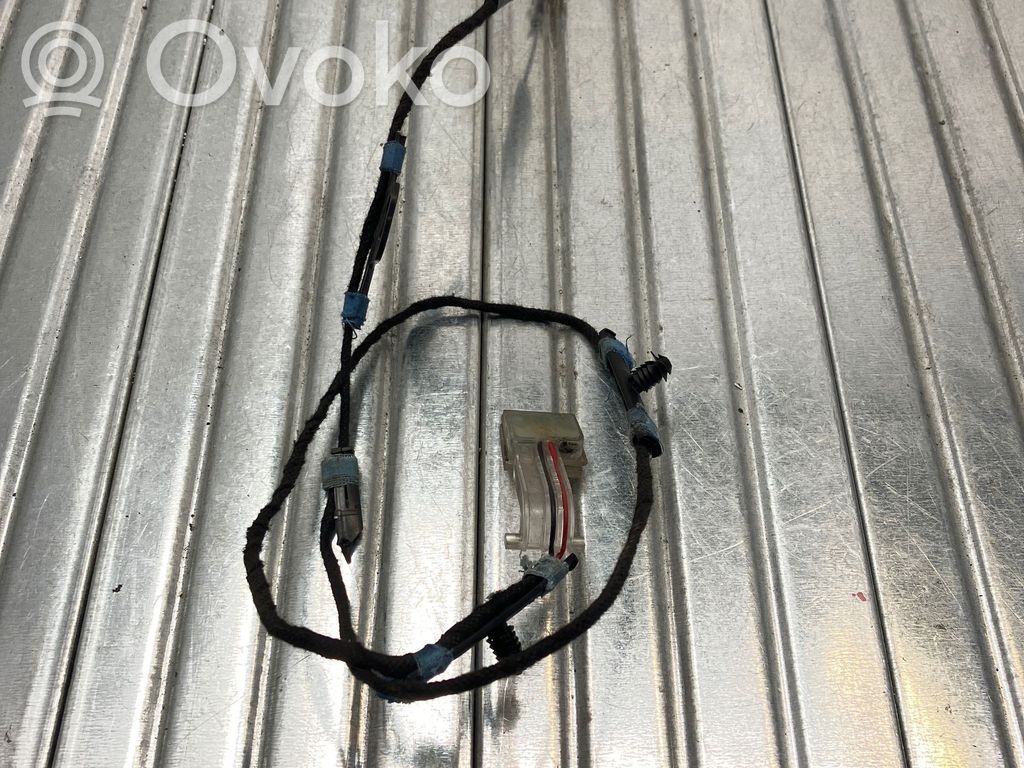 BMW X5 E70 Puerta trasera 