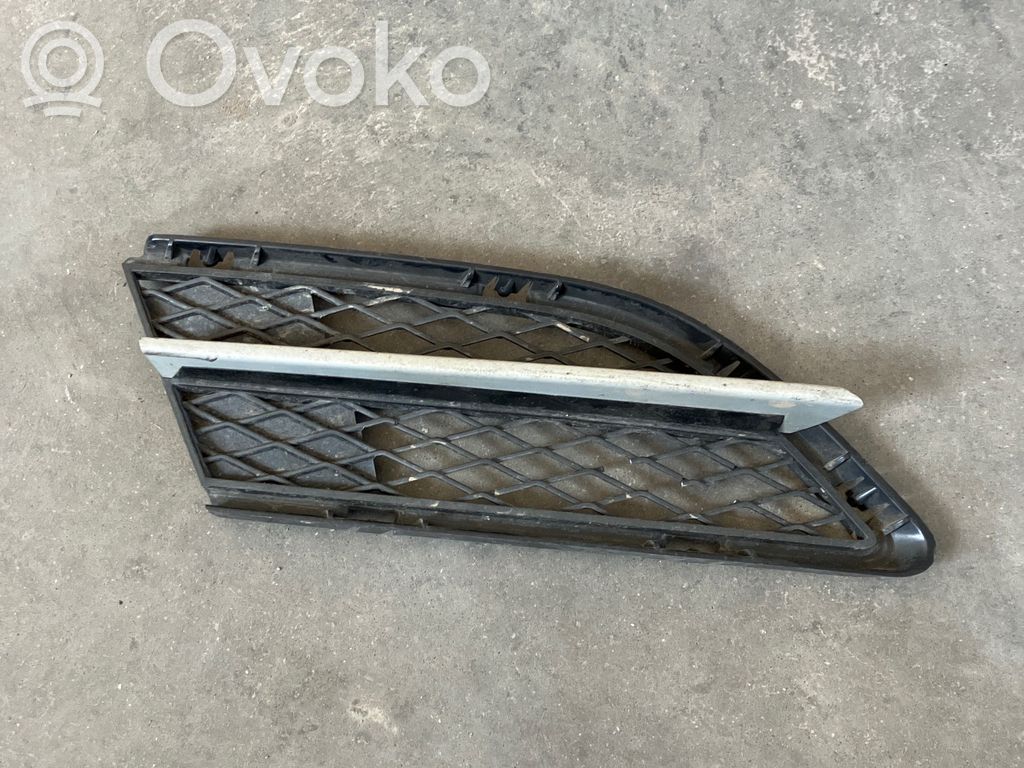 Front bumper lower grill   7198902