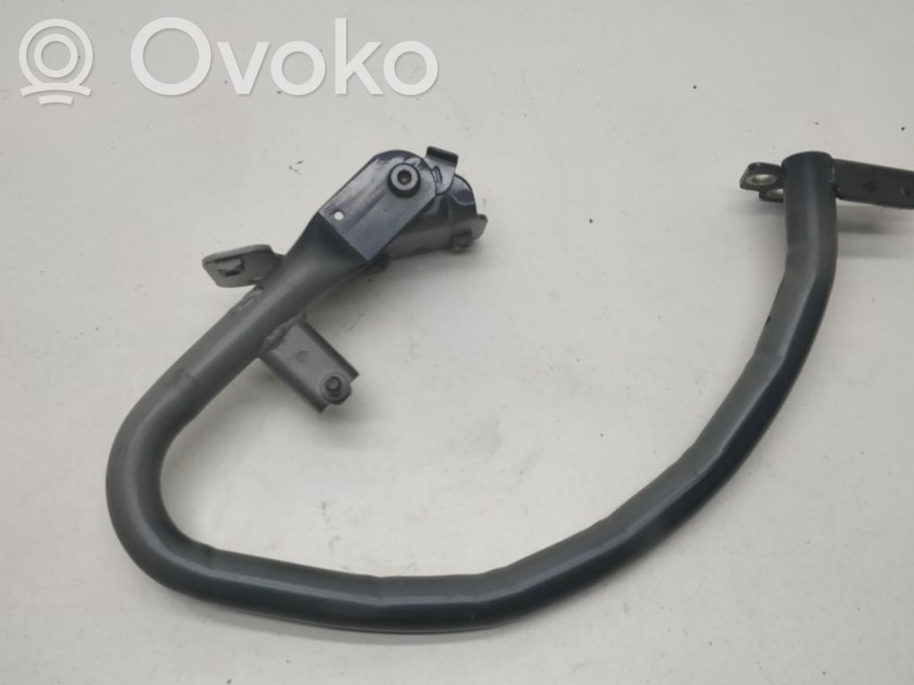 Tailgate/trunk/boot hinge   31349169