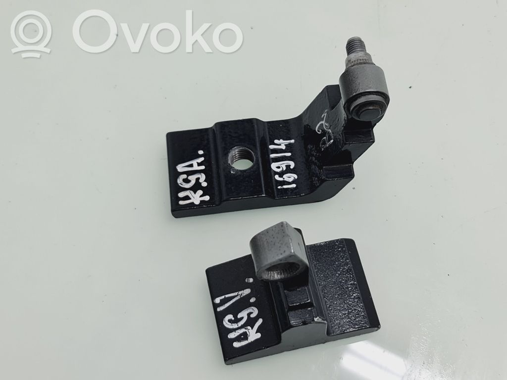 BMW X5 E70 Rear door hinge set 