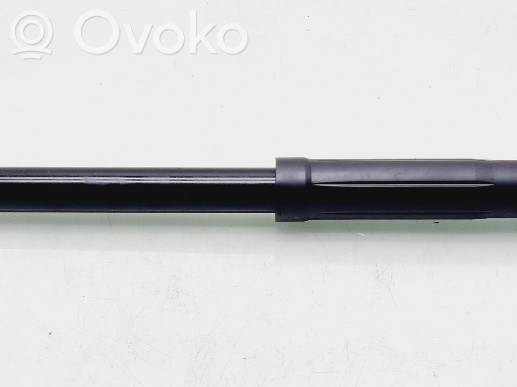 Toyota Aygo AB40 Stoßdämpfer hinten 