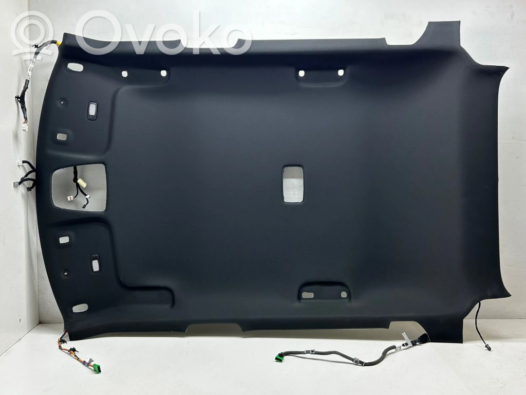 KIA EV6 Headlining 