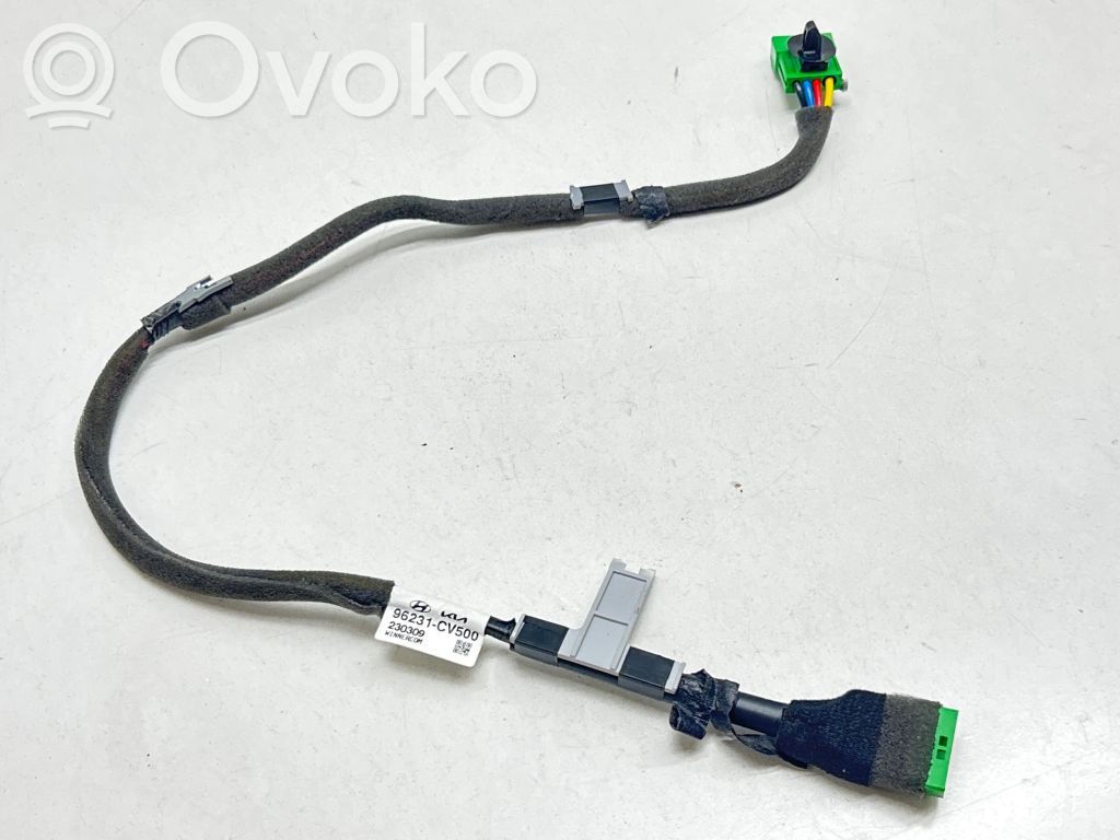 KIA EV6 GPS-pystyantenni 