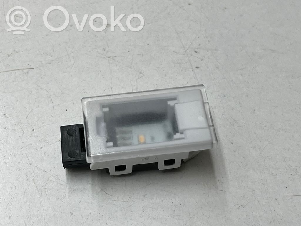 Chrysler Pacifica Rear door interior light 