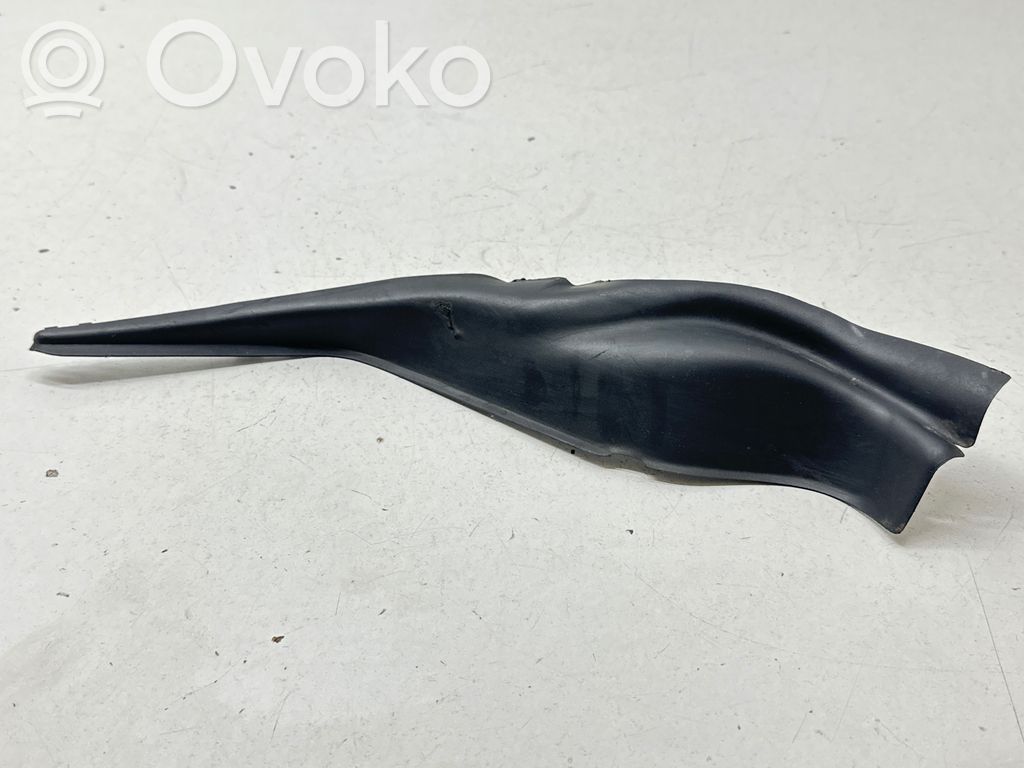 Chrysler Pacifica Wiper trim 