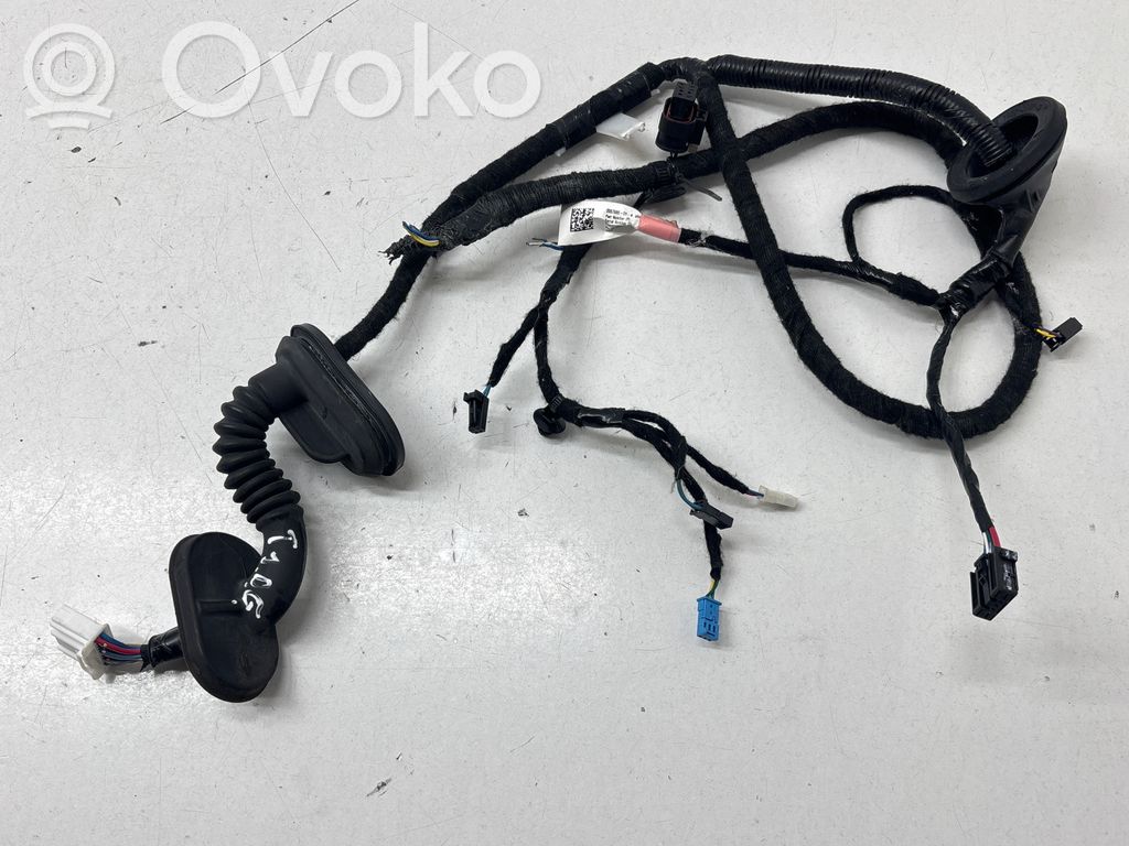 Cableado de puerta trasera   206796600B