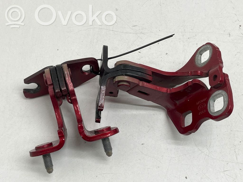 Rear door hinge set   A046571,ES57