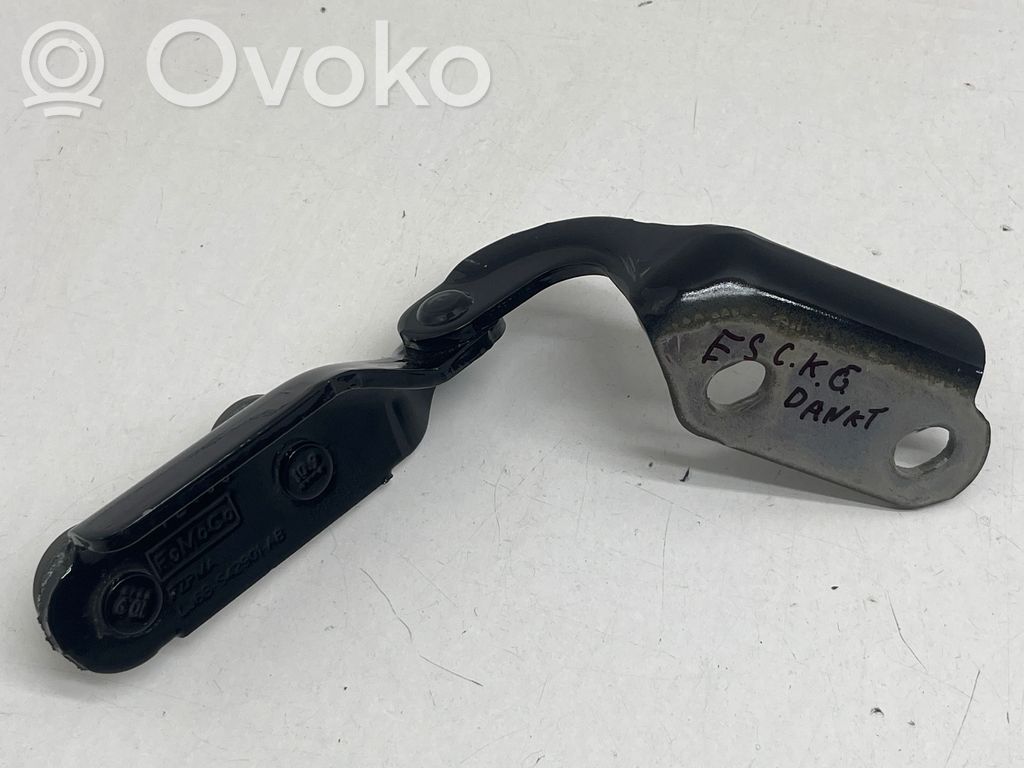 Ford Escape IV Tailgate/trunk/boot hinge 