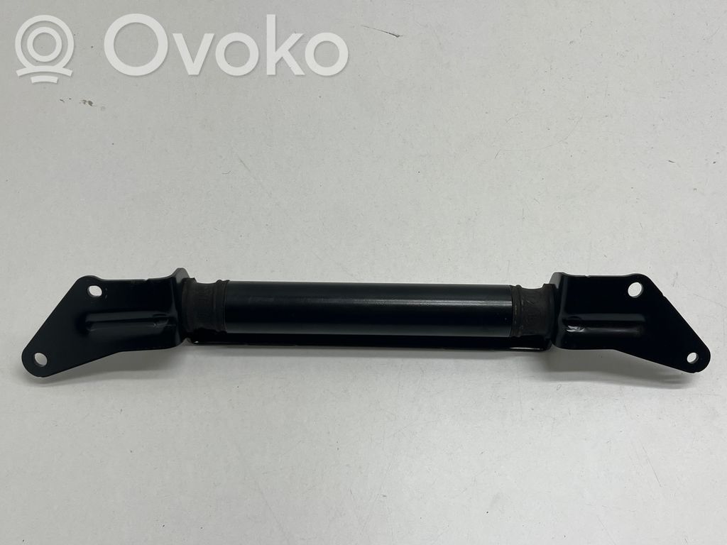 BMW X3 G01 Amortiguador/puntal del maletero/compartimento de carga 