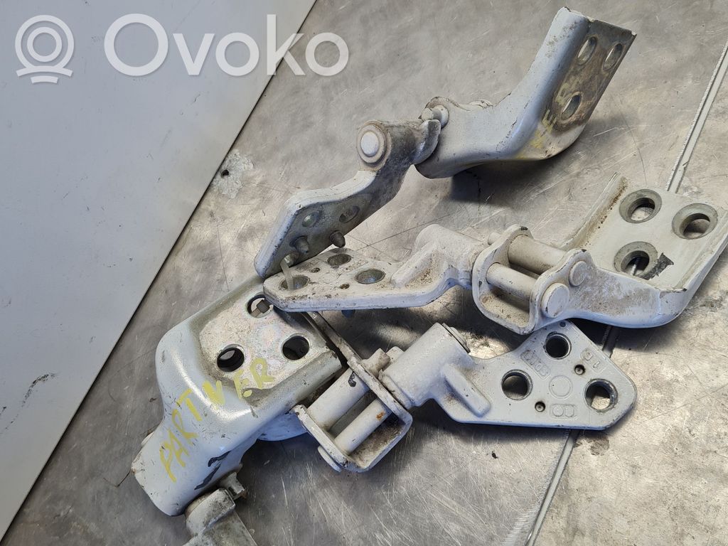 Front door hinge set   29209D080,282096180