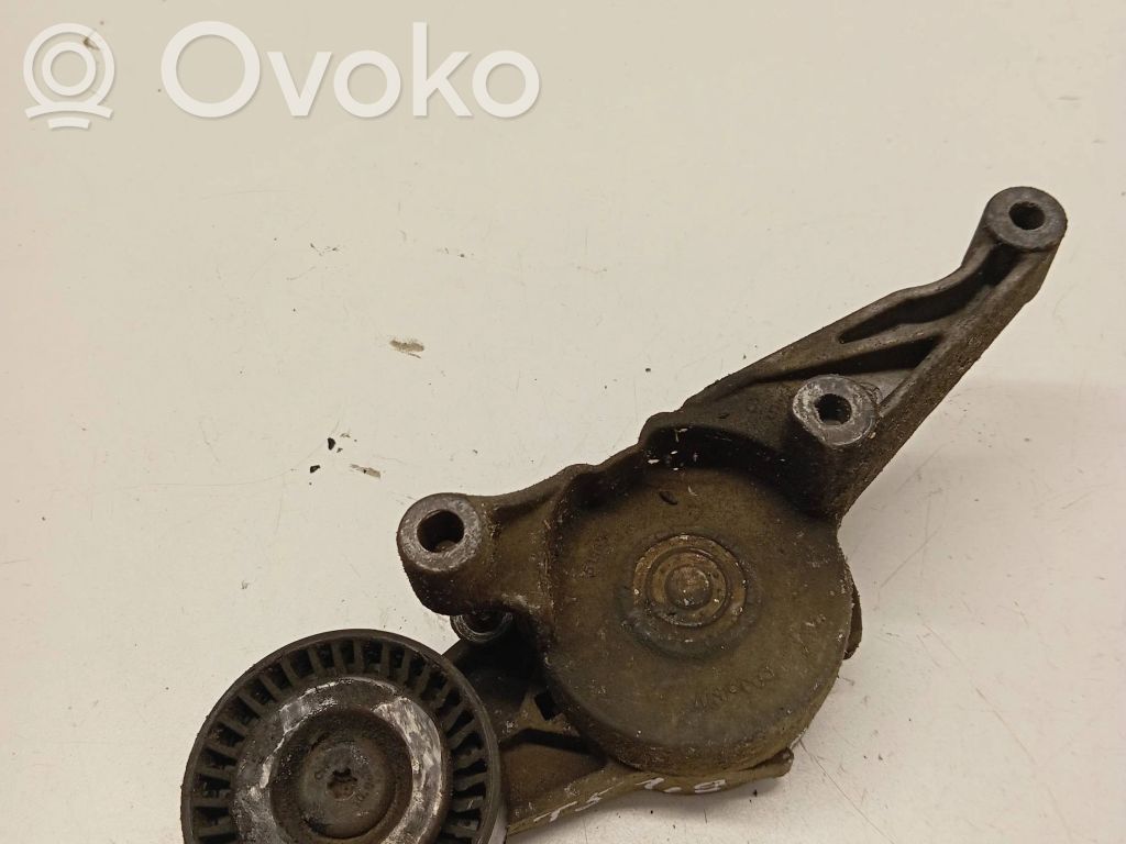 Volkswagen Transporter - Caravelle T5 Întinzător curea generator/alternator 