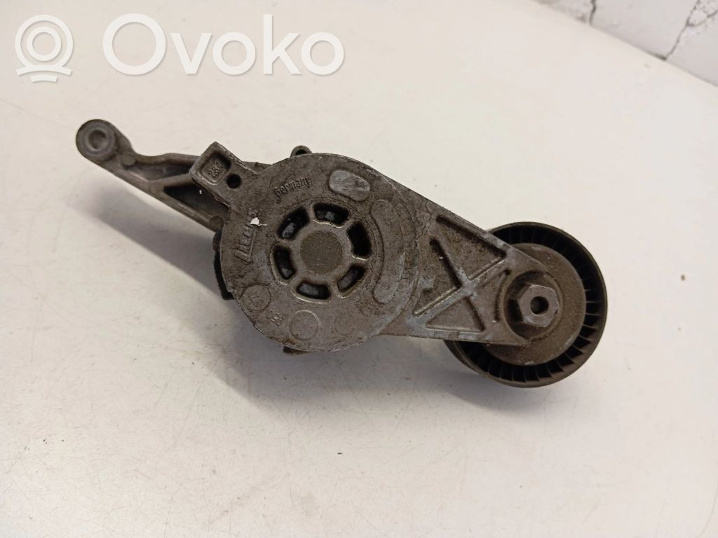 Volkswagen Transporter - Caravelle T5 Întinzător curea generator/alternator 