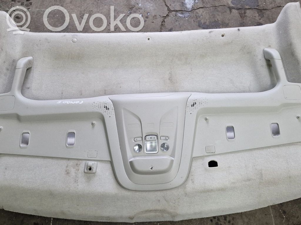 Techo   98172141BJ
