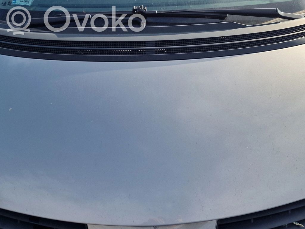 Engine bonnet/hood
