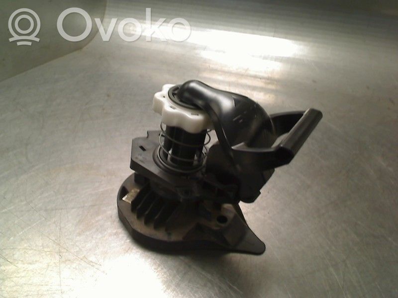 Base (soporte)
